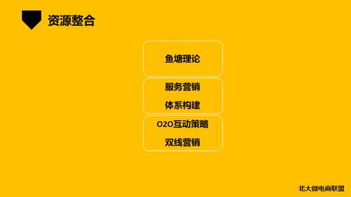 北大微電商聯盟 移動互聯時代的企業IP與品牌營銷新范式